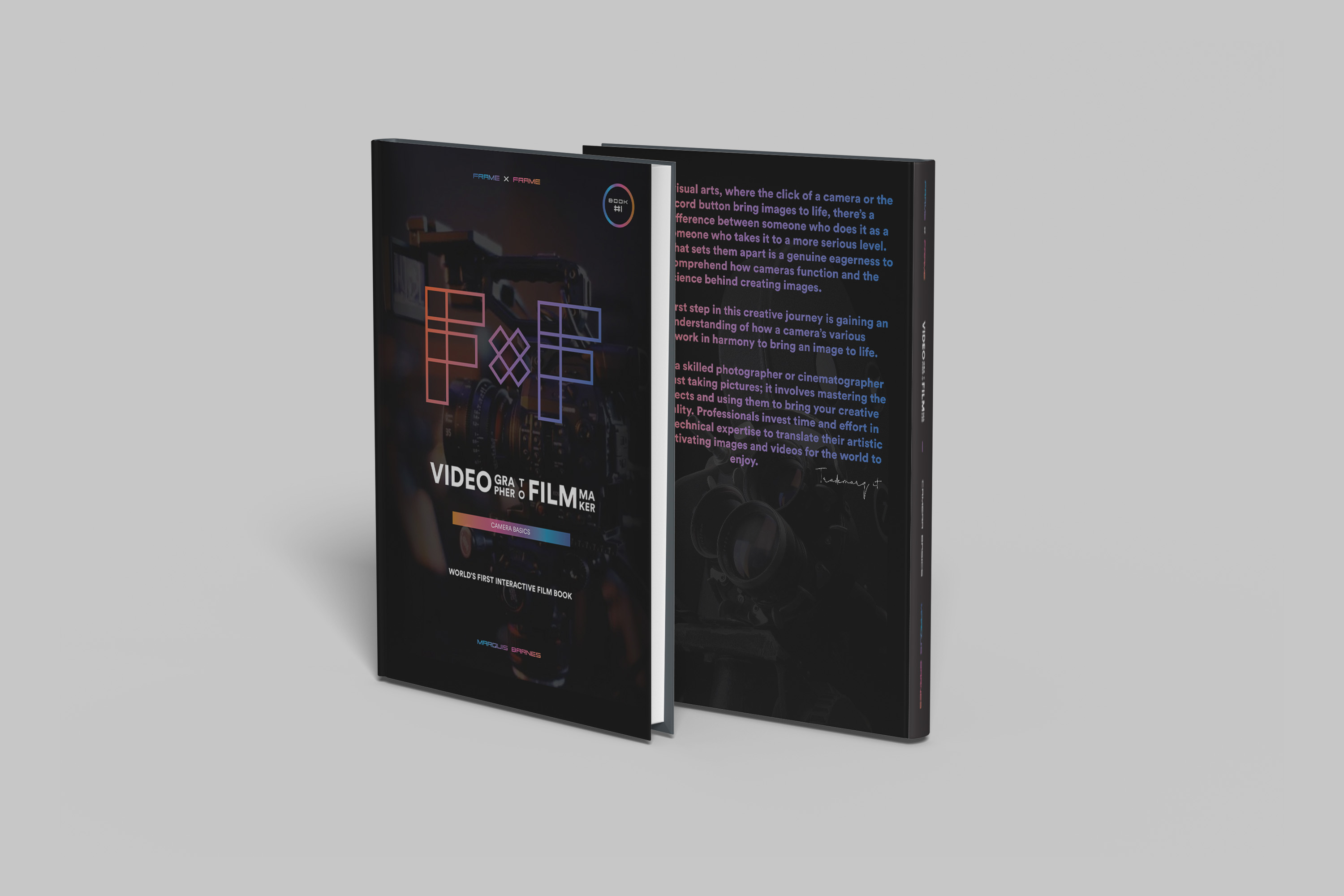 Frame x Frame book cover